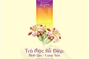 Trà Mộc Hồ Điệp Bình Gia - Lạng Sơn