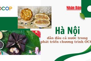 Trang thông tin OCOP và nông đặc sản Lạng Sơn