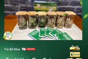 Trà bò khai (Túi lọc)