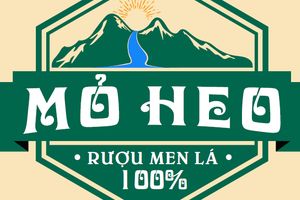CƠ SỞ SẢN XUẤT RƯỢU MỎ HEO