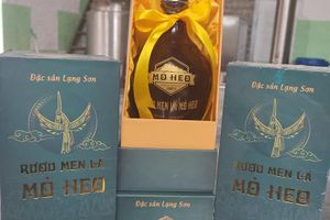 Rượu men lá Mỏ Heo