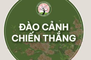 Đào cảnh Chiến Thắng