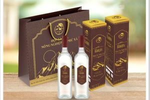 Rượu Men Lá Sơn Hà
