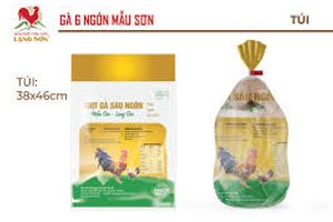 Gà 6 ngón Mẫu Sơn