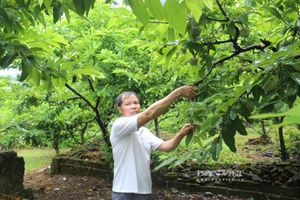 <div>N&ocirc;ng nghiệp Lạng Sơn: H&agrave;nh tr&igrave;nh 40 năm đổi mới (1986 &ndash; 2026) từ "Tự cung tự cấp" đến "N&ocirc;ng nghiệp h&agrave;ng h&oacute;a bền vững"</div>