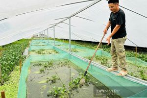 <div>Nuôi con đặc sản hiền lành dưới chân ruộng trũng, bán con to bự, một nông dân Lạng Sơn thu 600 triệu/năm</div> <div>Nuôi con đặc sản hiền lành dưới chân ruộng trũng, bán con to bự, một nông dân Lạng Sơn thu 600 triệu/năm</div>