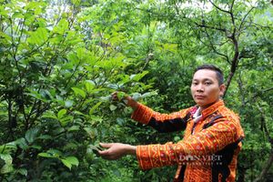 Trang thông tin OCOP và nông đặc sản Lạng Sơn