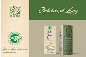 Rượu men lá Hiền Minh