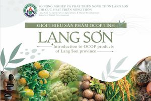 <p>Lạng Sơn giới thiệu sản phẩm OCOP&nbsp;</p>