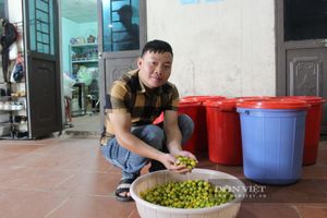<div>Một cử nh&acirc;n "g&aacute;c" bằng đại học về v&ugrave;ng n&uacute;i cao nhất tỉnh Lạng Sơn "vặt" quả rừng l&agrave;m g&igrave; m&agrave; ra 3 sao OCOP?</div>