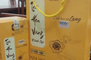 Trà hoa vàng Đình Lập