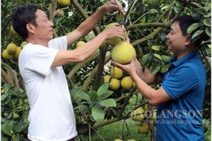 Nong Nghiep Thong Minh Tinh Lang Son