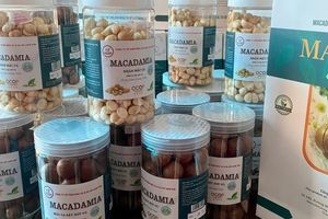 Trang thông tin OCOP và nông đặc sản Lạng Sơn