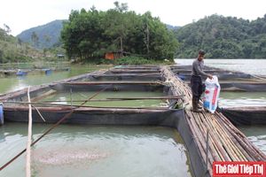 Trang thông tin OCOP và nông đặc sản Lạng Sơn