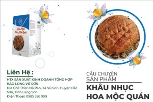 Khâu nhục Hoa Mộc Quán