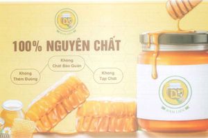 Mật ong hoa rừng Bắc Sơn