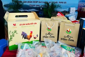 Gà 6 ngón Mẫu Sơn Lộc Bình