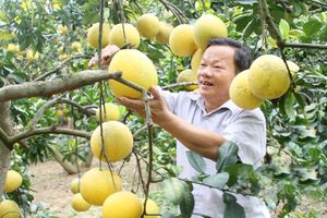 Nong Nghiep Thong Minh Tinh Lang Son