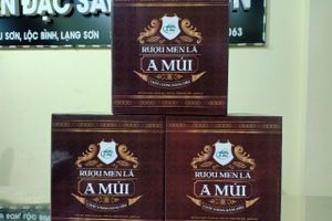 Rượu men lá A Múi