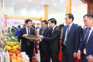 Lạng Sơn tung loạt chính sách mạnh, hỗ trợ lãi suất tới 10 tỷ/dự án nông nghiệp