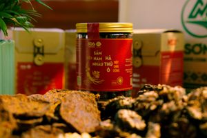 Viên Sâm Nam Nhàu - Hà Thủ Ô Mật ong Vừng