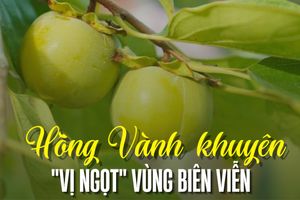 Nong Nghiep Thong Minh Tinh Lang Son