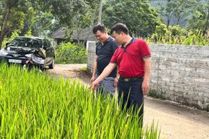 Trang thông tin OCOP và nông đặc sản Lạng Sơn