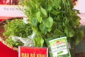 Trang thông tin OCOP và nông đặc sản Lạng Sơn
